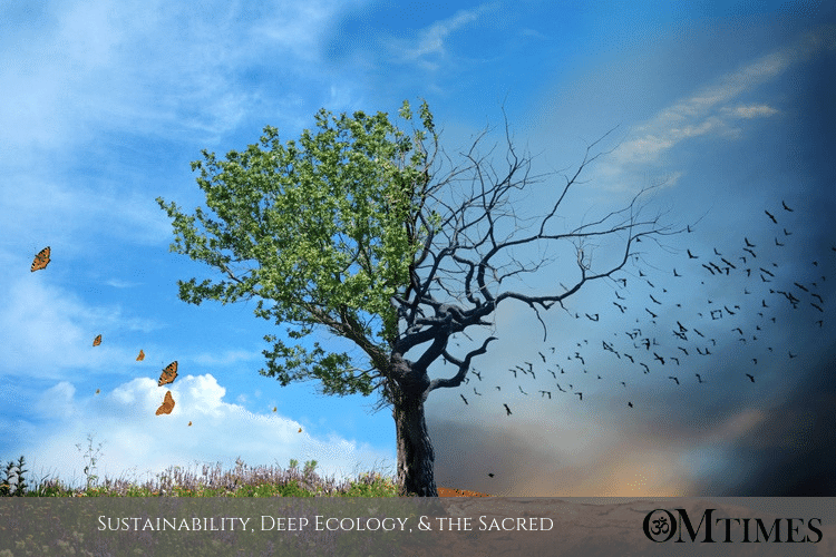 deep ecology sustainability OMTimes