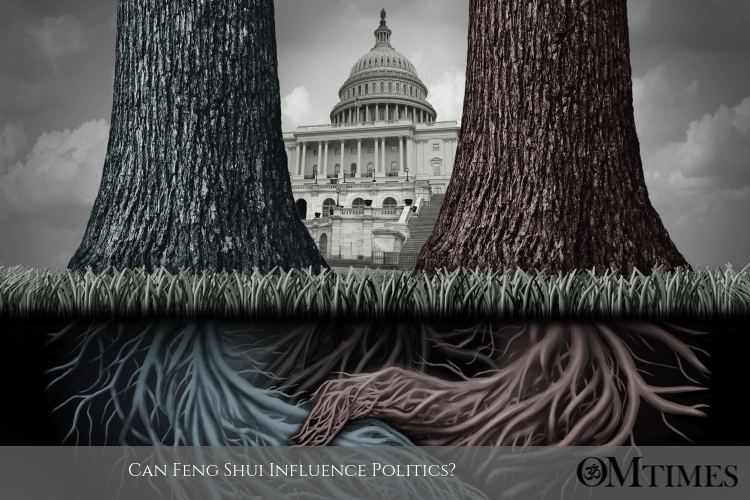 politics Feng Shui OMTimes