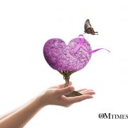 clear vision OMTimes