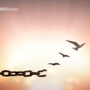 Karmic Patterns OMTimes