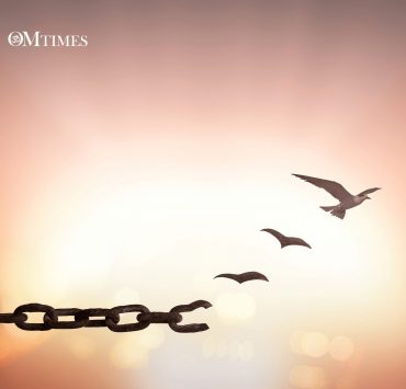 Karmic Patterns OMTimes