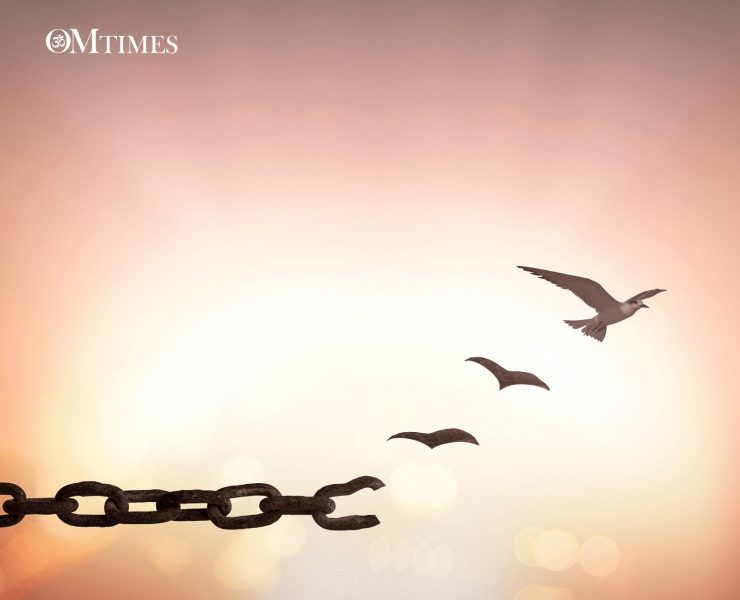 Karmic Patterns OMTimes