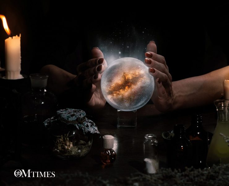 Professional Medium OMTimes