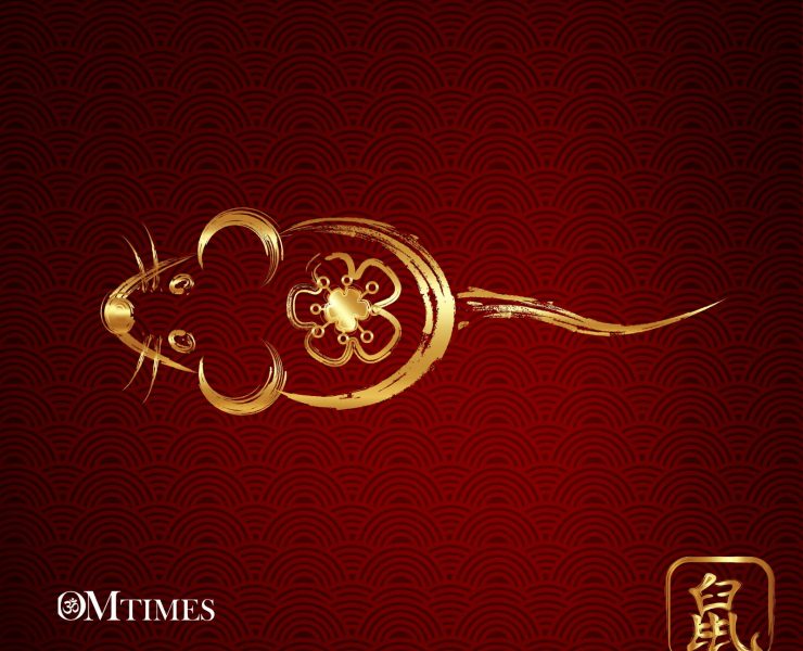 Year of the Rat Forecast OMTimes
