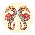 Gemini (5/21-6/20)-OMTImes