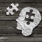 Embodied Cognition OMTimes