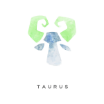 Taurus 1-1