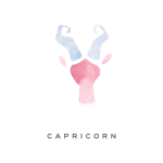 Capricorn 1-1