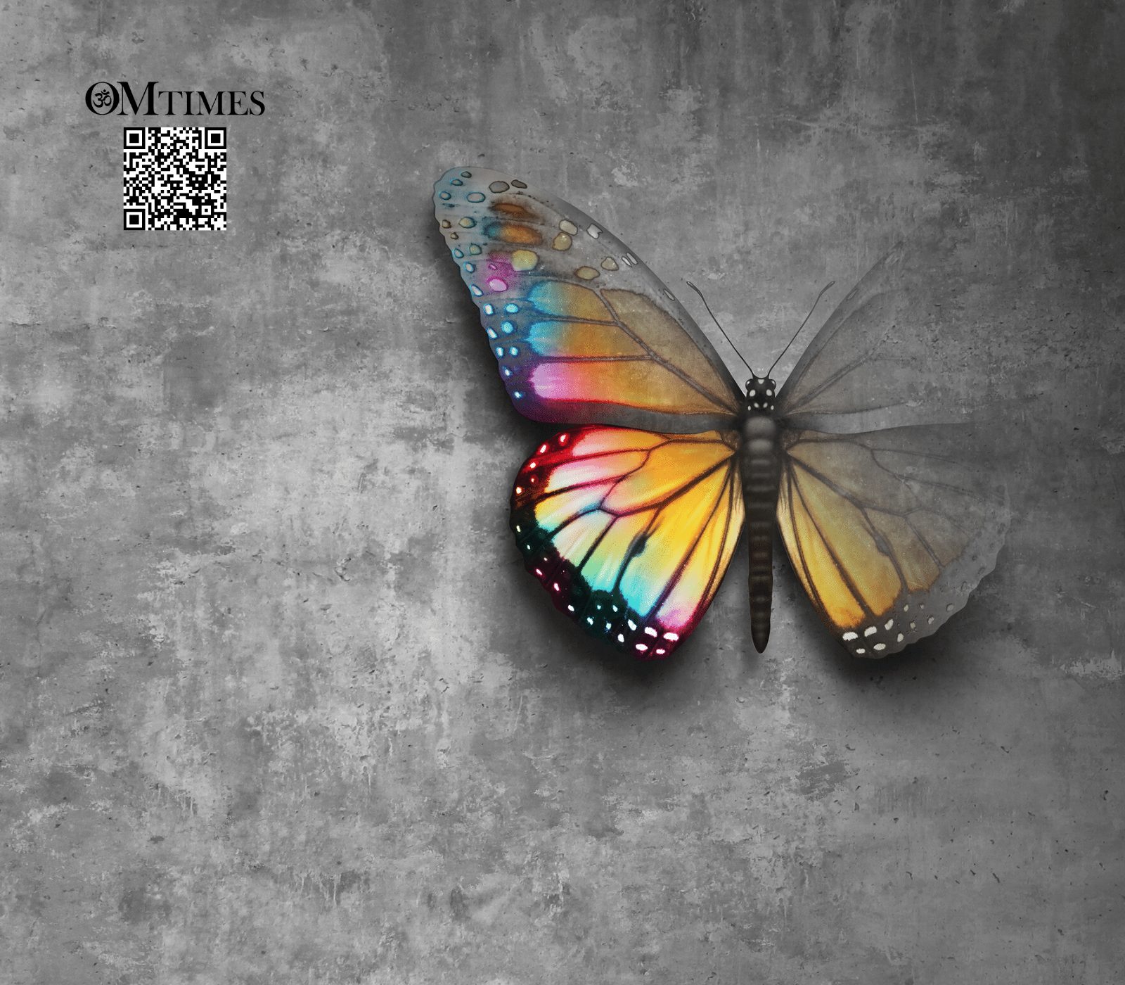 Déjà Vu Past Life Memory OMTimes