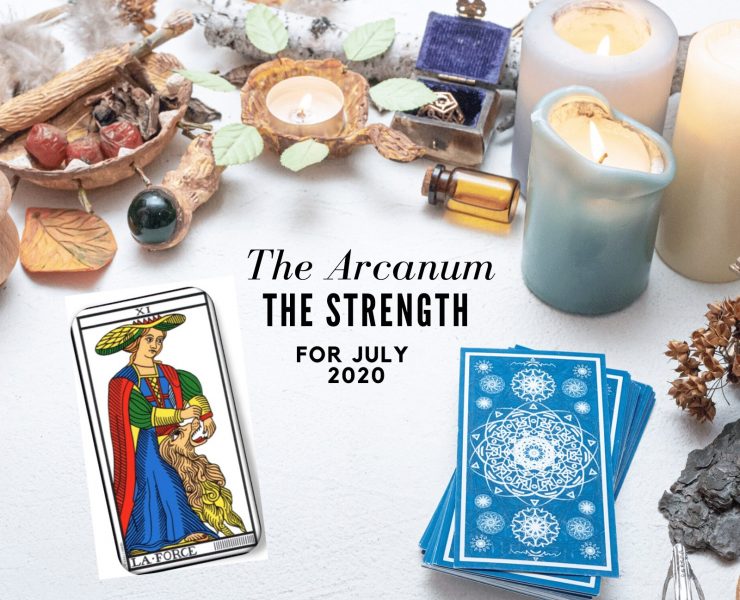 Strength Card Tarot Energy Forecast OMTimes