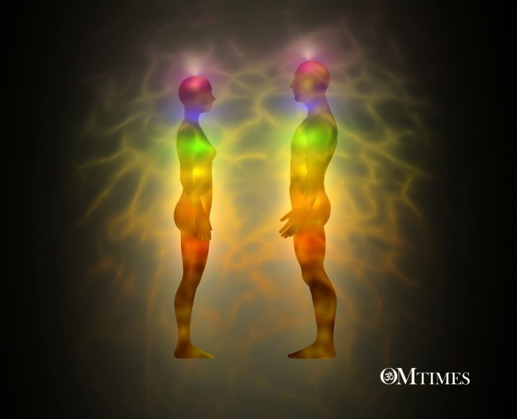 Body's Energies OMTimes
