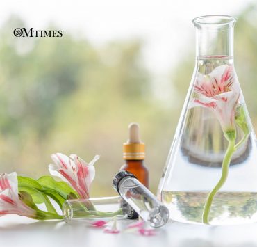 Flower Essences Essential Oils OMTimes
