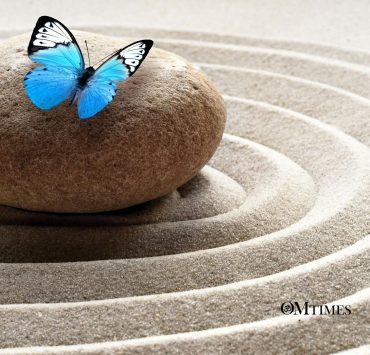 Chaos to Clarity OMTimes