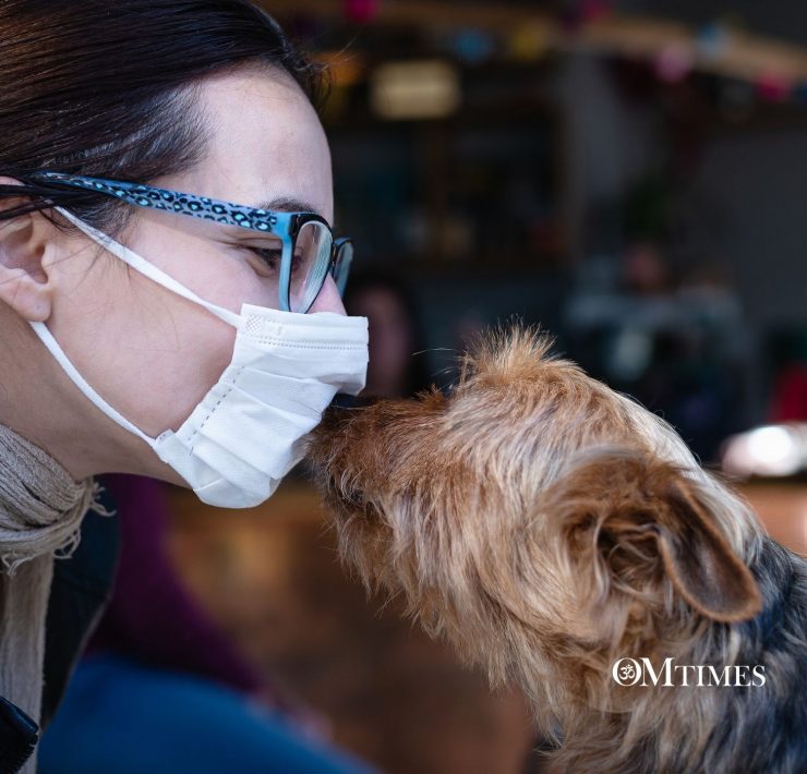 Animal Families OMTimes