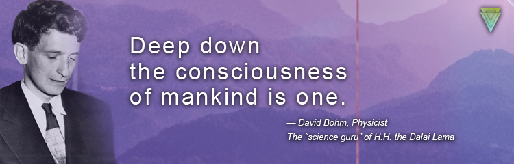 Infinite Potential: The Life and Ideas of David Bohm