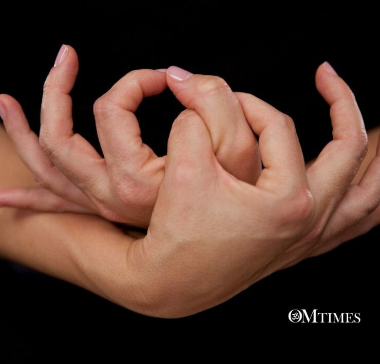 Karuna OMTimes