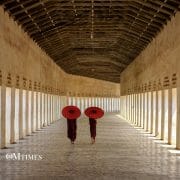 Walking Meditation OMTimes