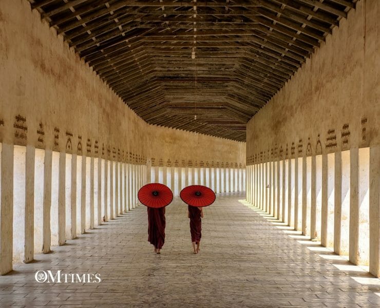 Walking Meditation OMTimes