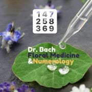 Dr. Bach Floral Medicine Numerology OMTimes