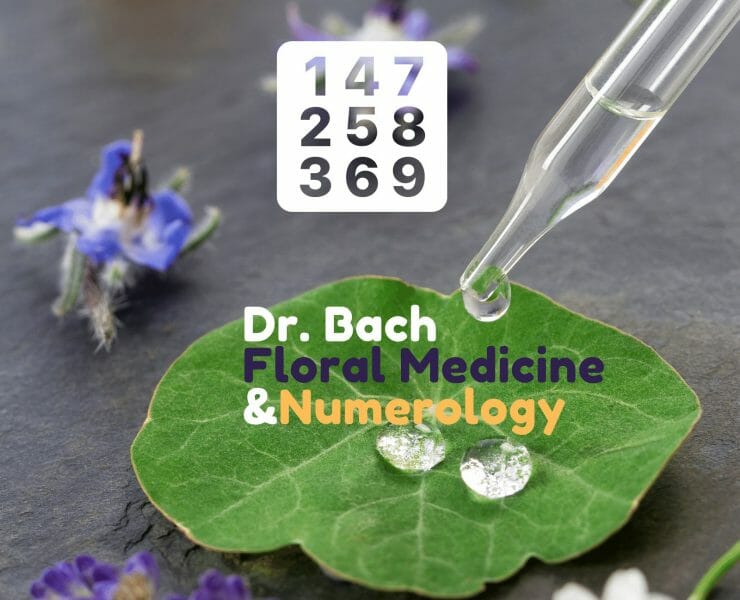 Dr. Bach Floral Medicine Numerology OMTimes
