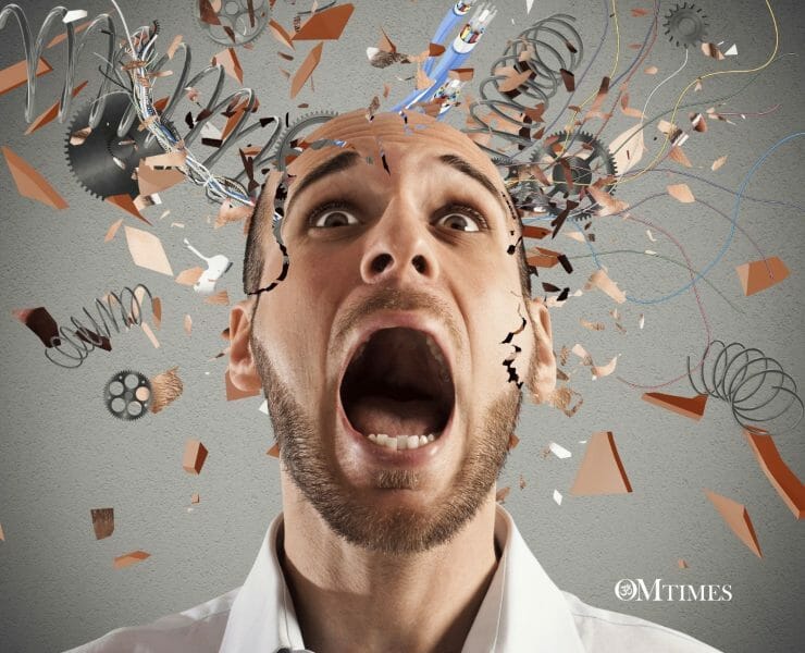 Neuroplasticity OMTimes