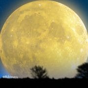 2021 Leo Full Moon OMTimes