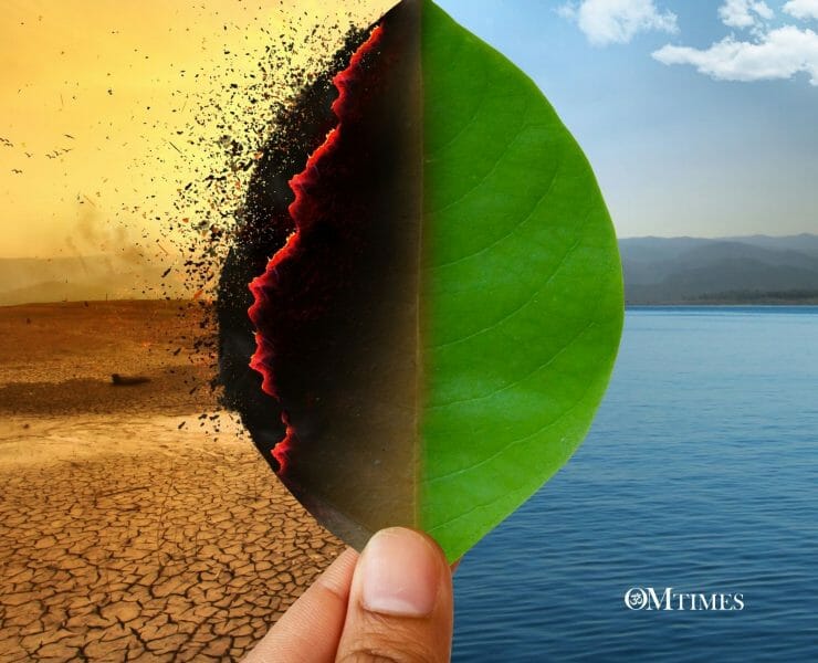 Project Drawdown OMTimes