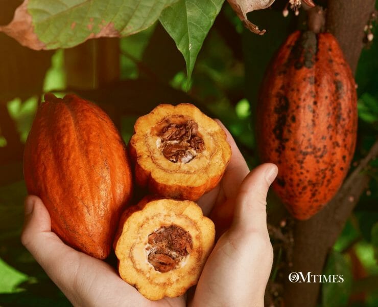 Spiritual Superfoods OMTimes