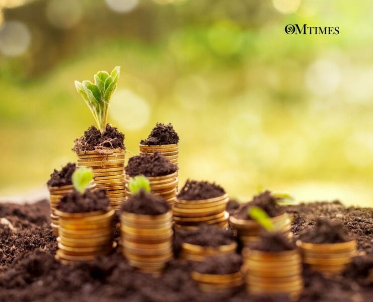 Prosperity Numerology OMTimes