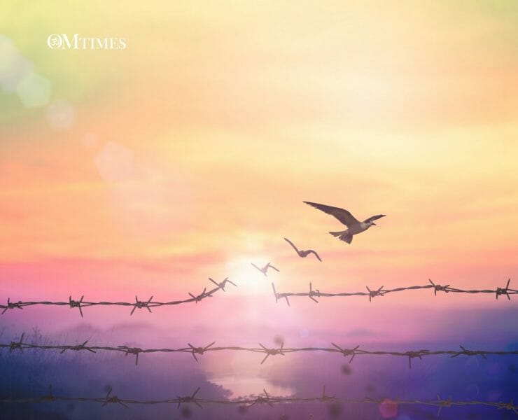 Ho'oponopono Foregivness