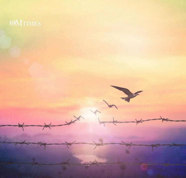 Ho'oponopono Foregivness