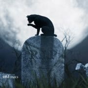 Pets Reincarnate