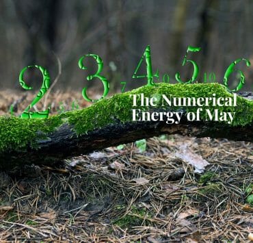 The Numerical Energy of May
