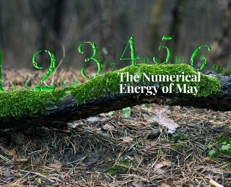 The Numerical Energy of May