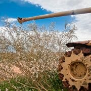 Ecologically sound Gaza Development Program.