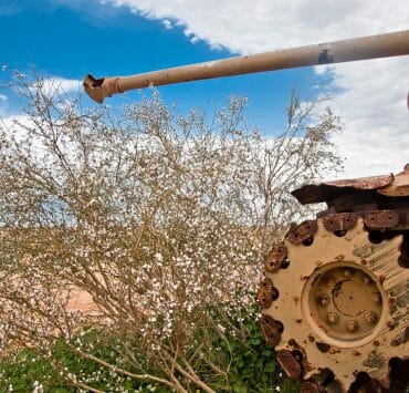 Ecologically sound Gaza Development Program.