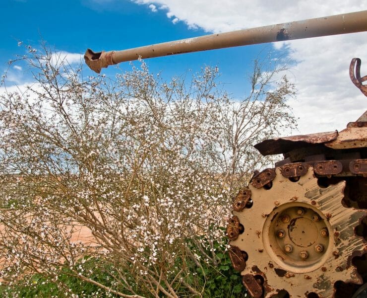 Ecologically sound Gaza Development Program.