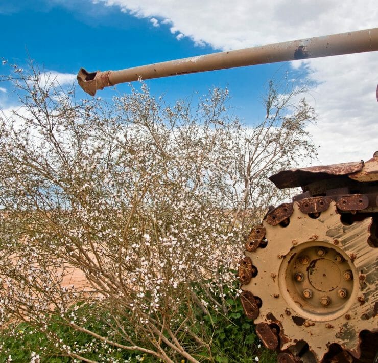 Ecologically sound Gaza Development Program.