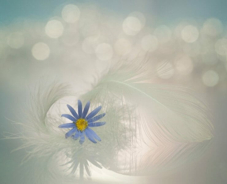 When Your Soul Has the Answer, You Need