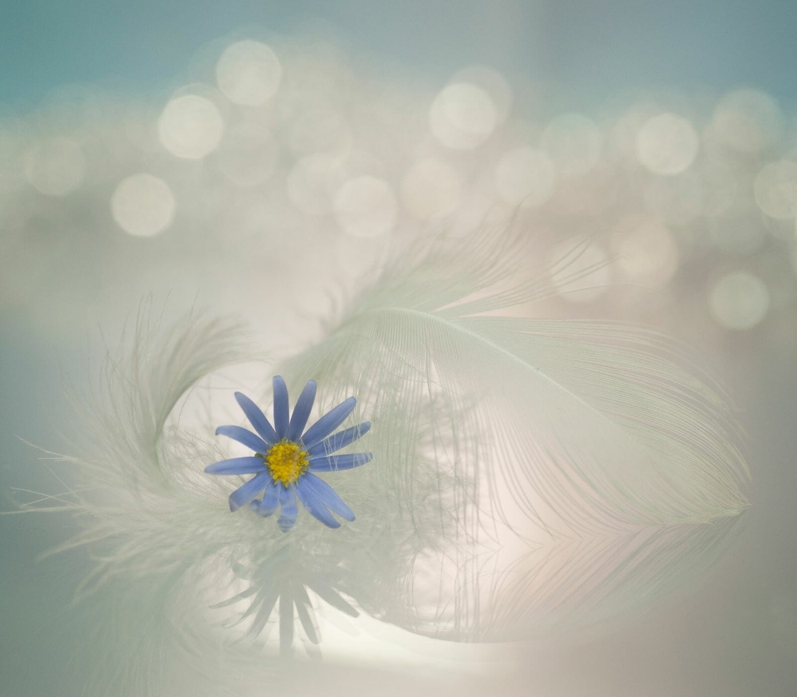 When Your Soul Has the Answer, You Need