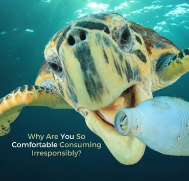 Why Are You So Comfortable Consuming Irresponsibly