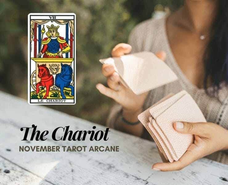 Chariot-Tarot for November 2021