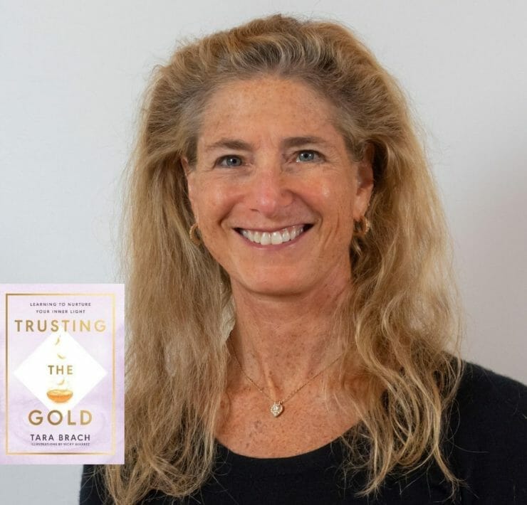 Tara Brach- Trusting the cold