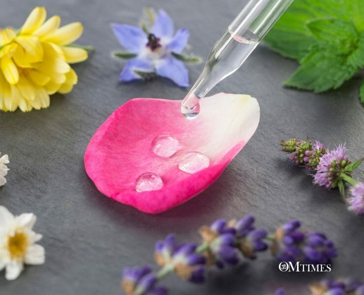 Bach Flower Remedies