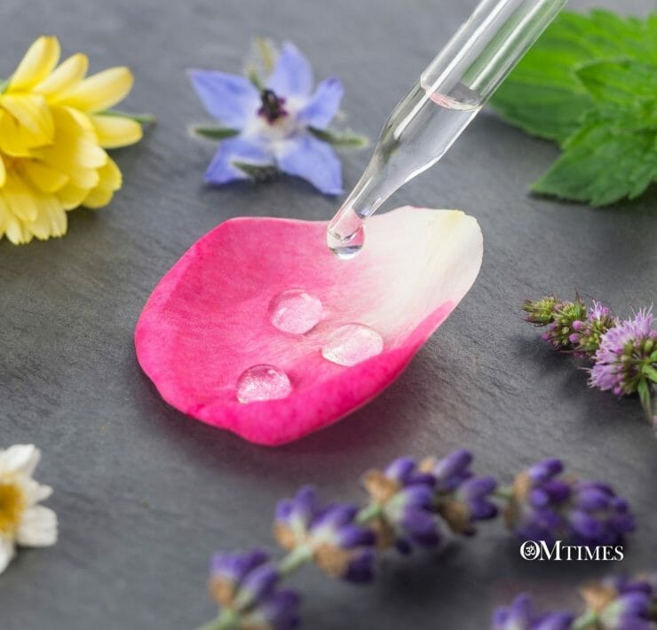 Bach Flower Remedies