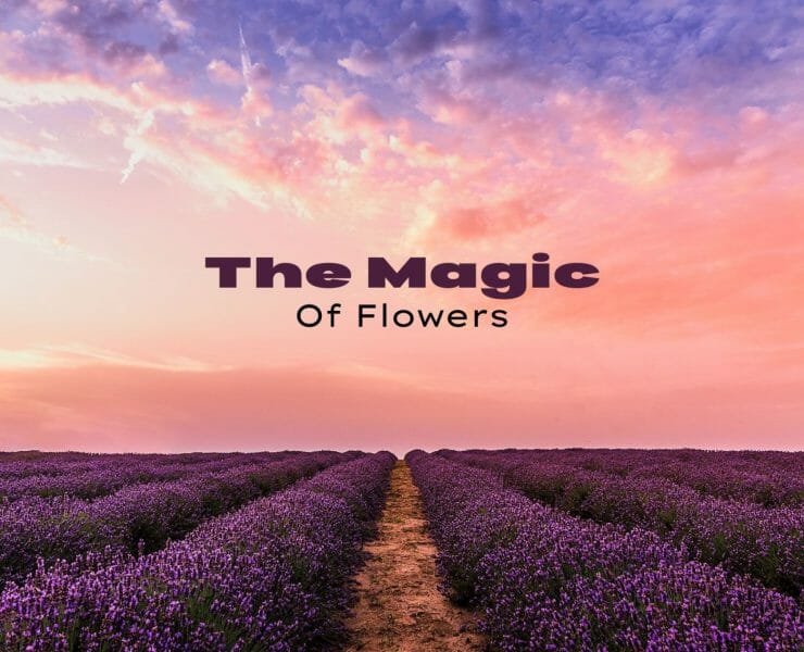 Flower Magic