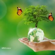 Healthy Living Environment