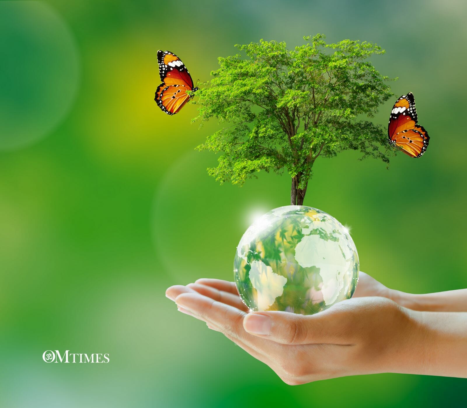 Healthy Living Environment
