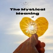 The Mystical Meaning of the Number 9