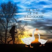 The Way of the Wild Goose